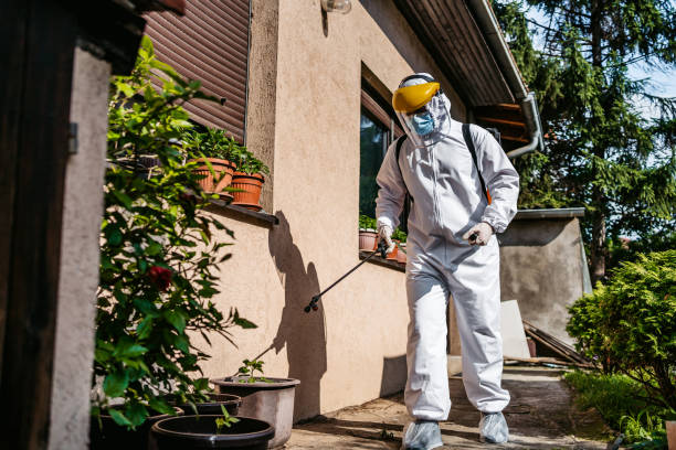 Best Best Pest Control Companies  in Gray, TN