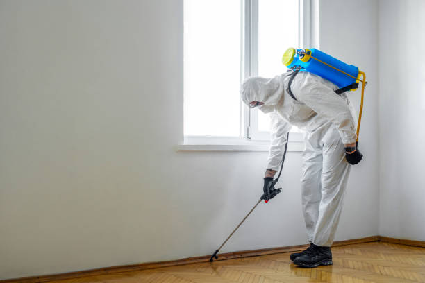 Reliable Gray, TN Pest Control Solutions